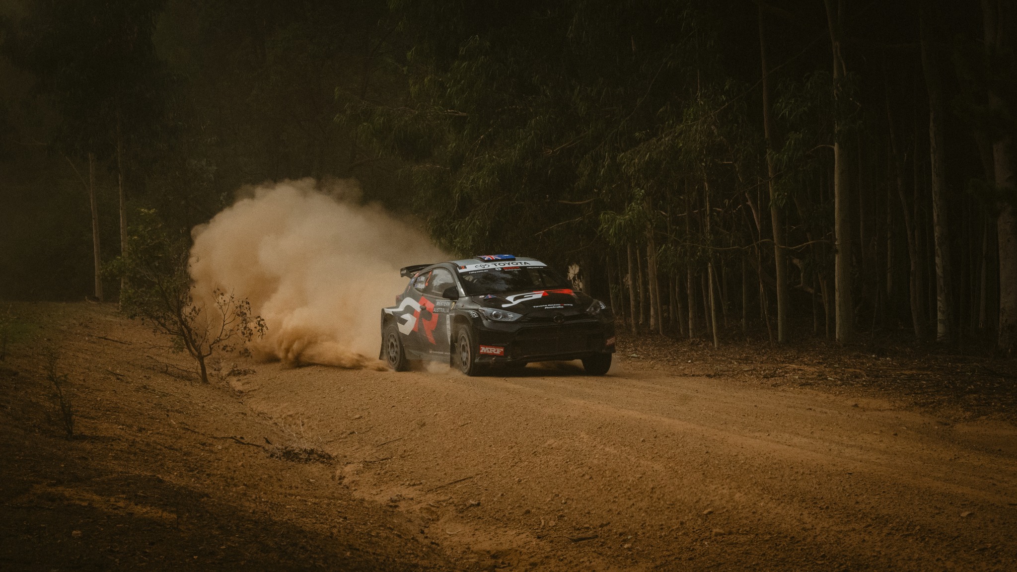 441620263_832884415549201_588284310813799024_n