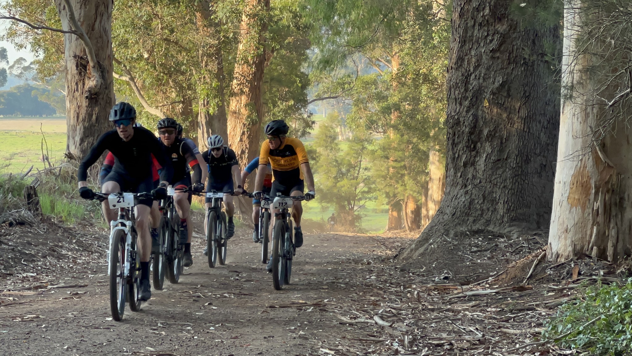 Cyclists on a bike trail through trees