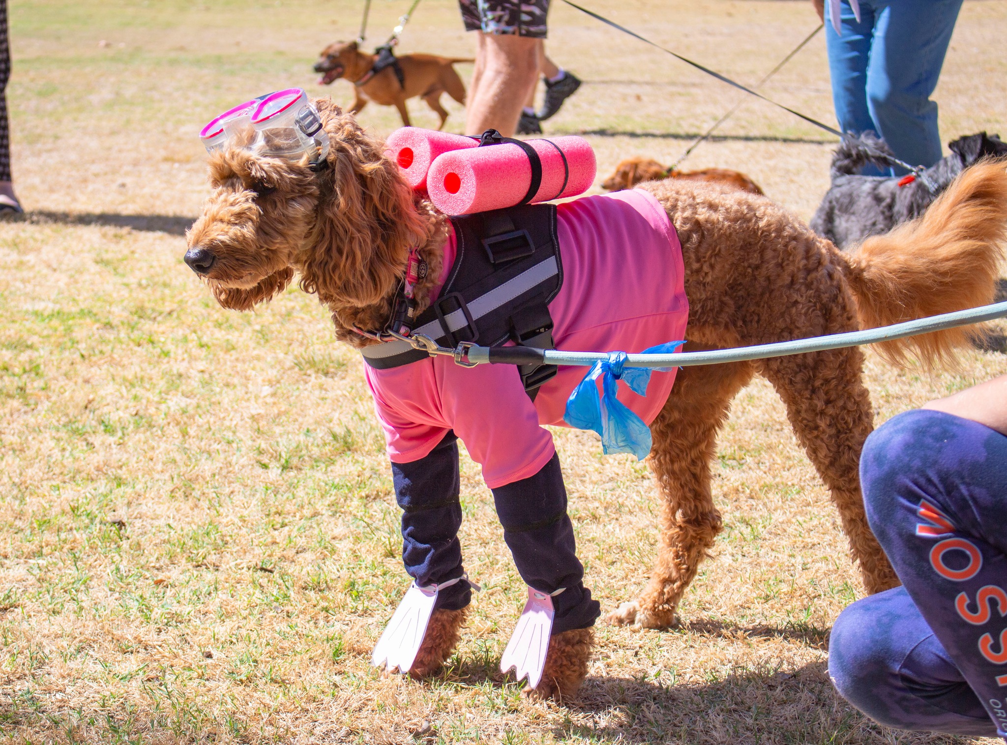 440178312_841924214636543_4381091564900221629_n