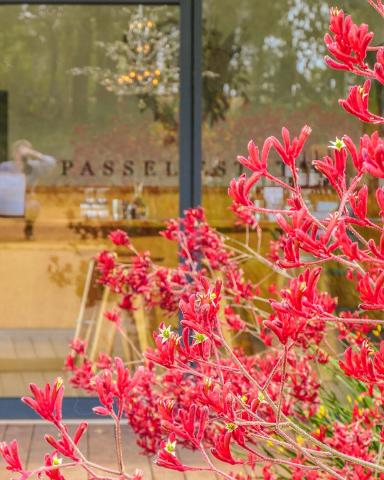 CNY_colours_at_tasting_room_med