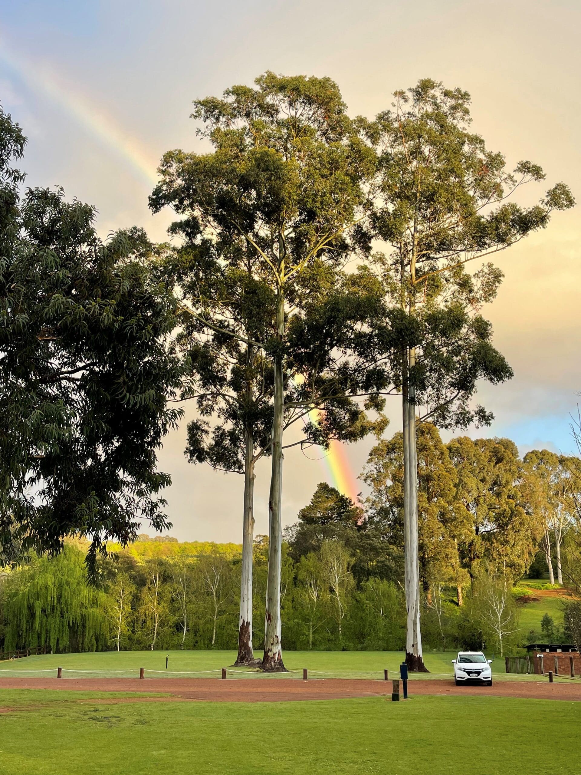 1. Fonty's Pool rainbow