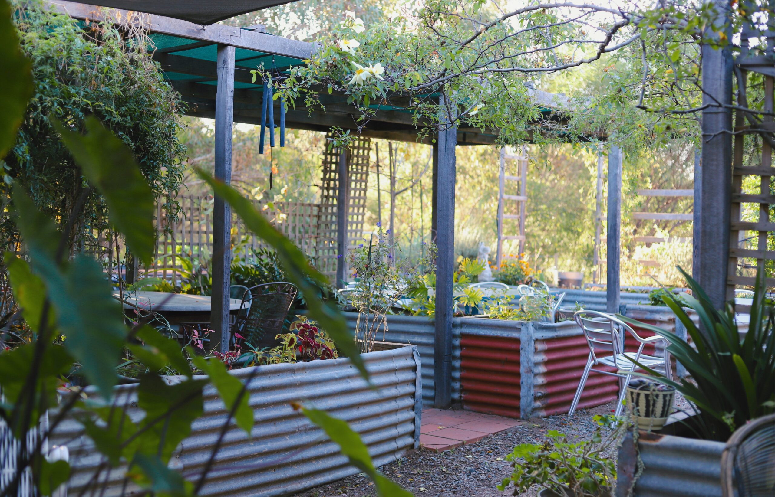 South West Bottega - 21