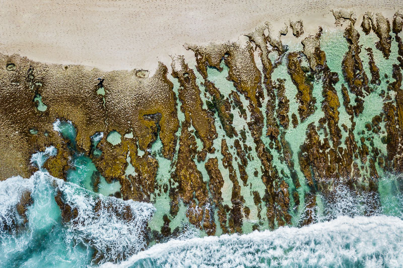 102-ThreeBears-DanielaTommasiPhotography-3