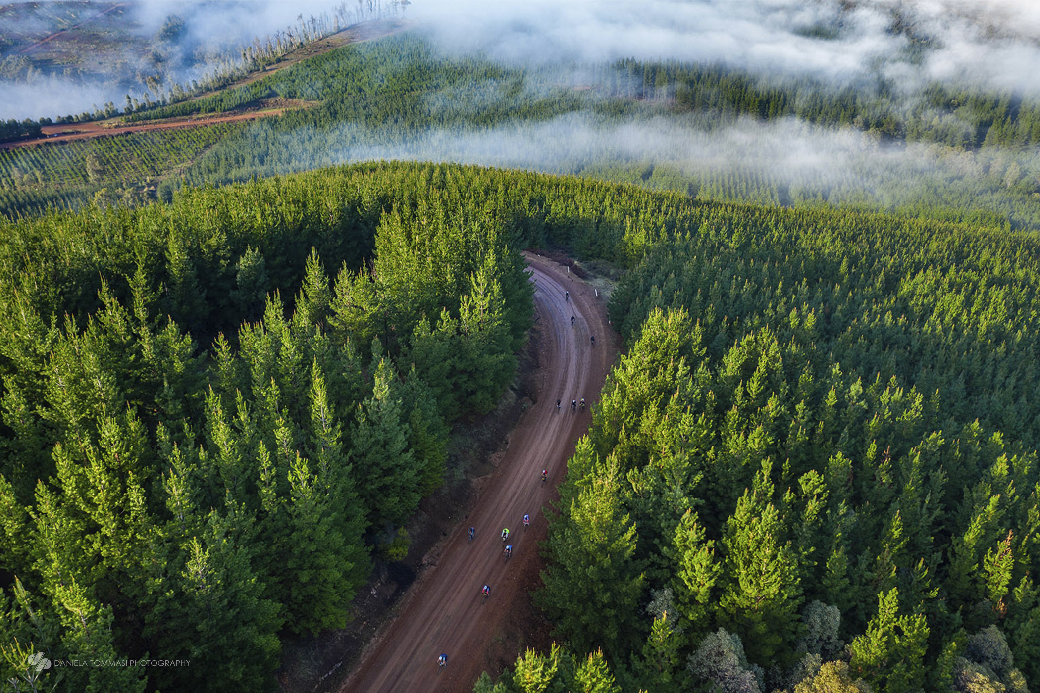 Western Australia - Swimmers - Photo Credit: Daniela Tommasi