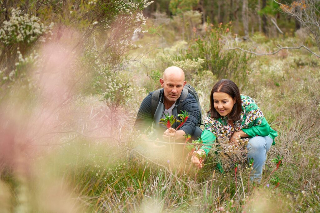 Wildflower spotting in Bridgetown (Australia's South West)