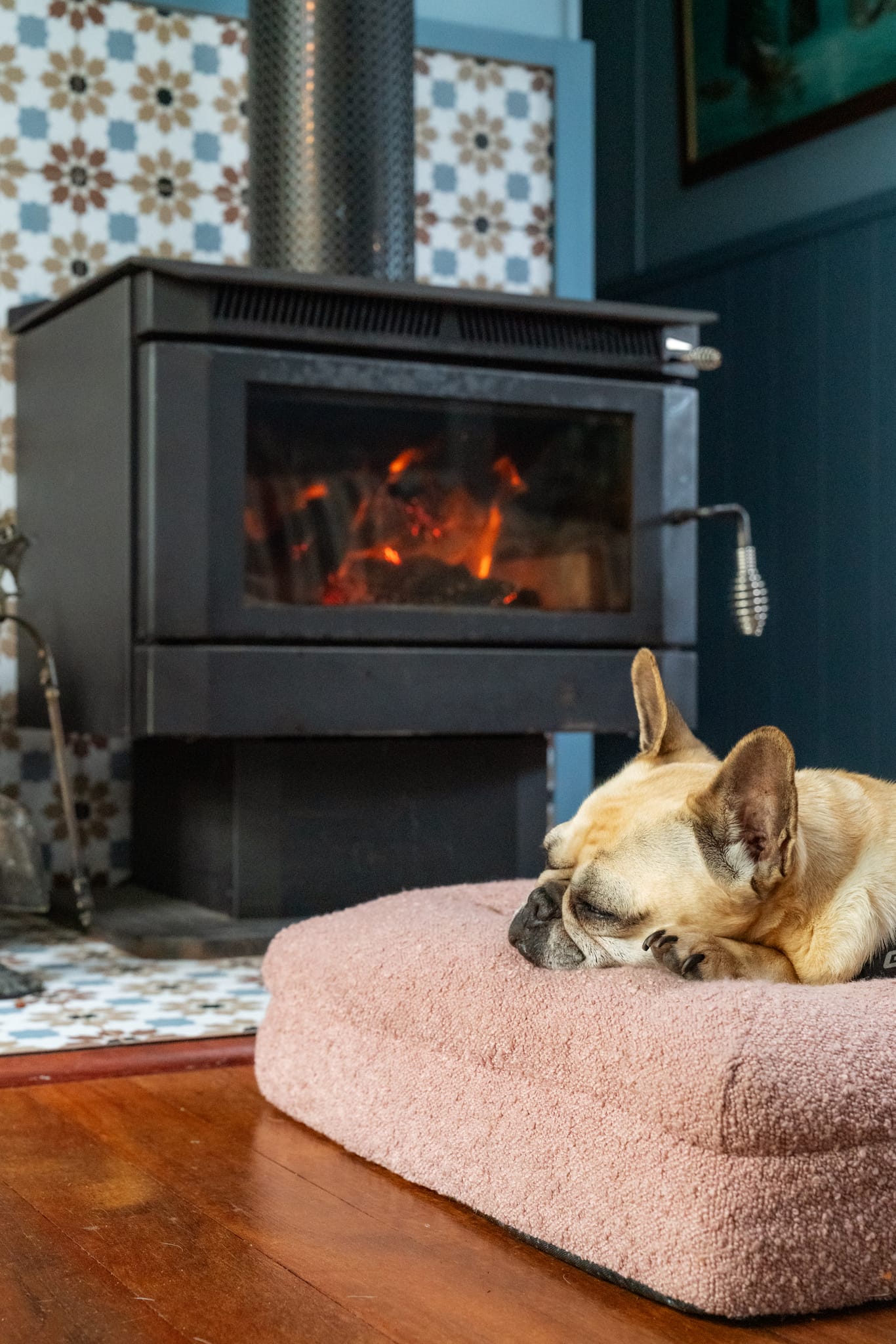 Nomad Nest in Pet Friendly Campaign, Scott and Parm (Coasting Outback), Great Southern region (9)-web