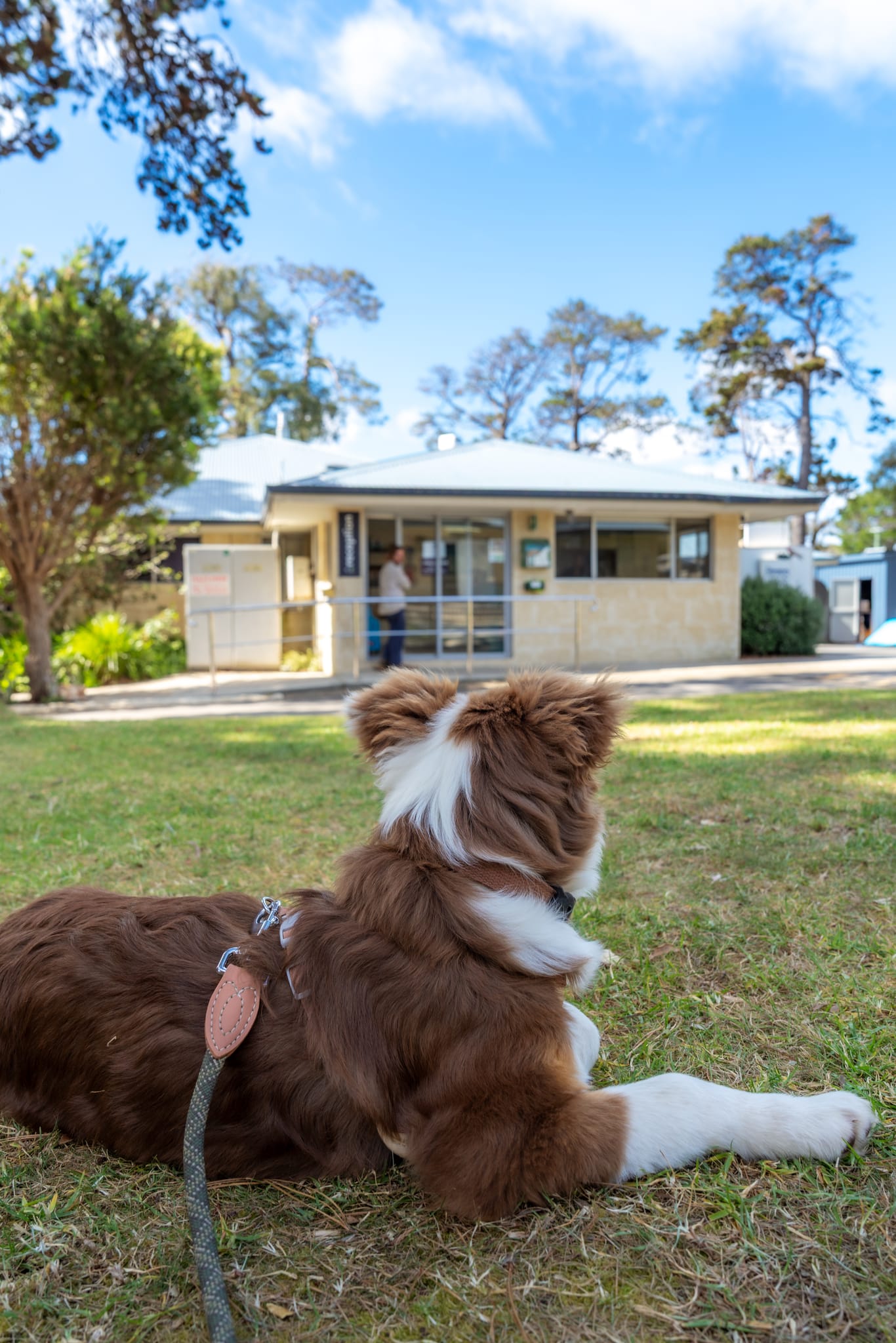 Tasman Holiday Parks in Pet Frendly Campaign, Scott and Parm (Coasting Outback), Margaret River Region (8)-web