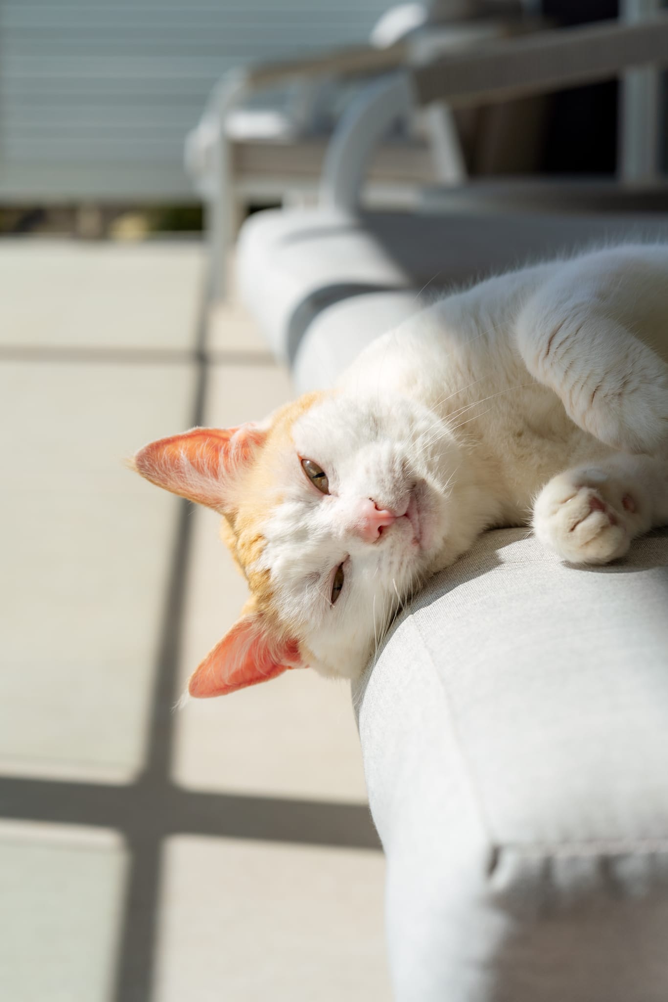 The View Albany in Pet Friendly Campaign, Scott and Parm (Coasting Outback), Great Southern Region (3)-web