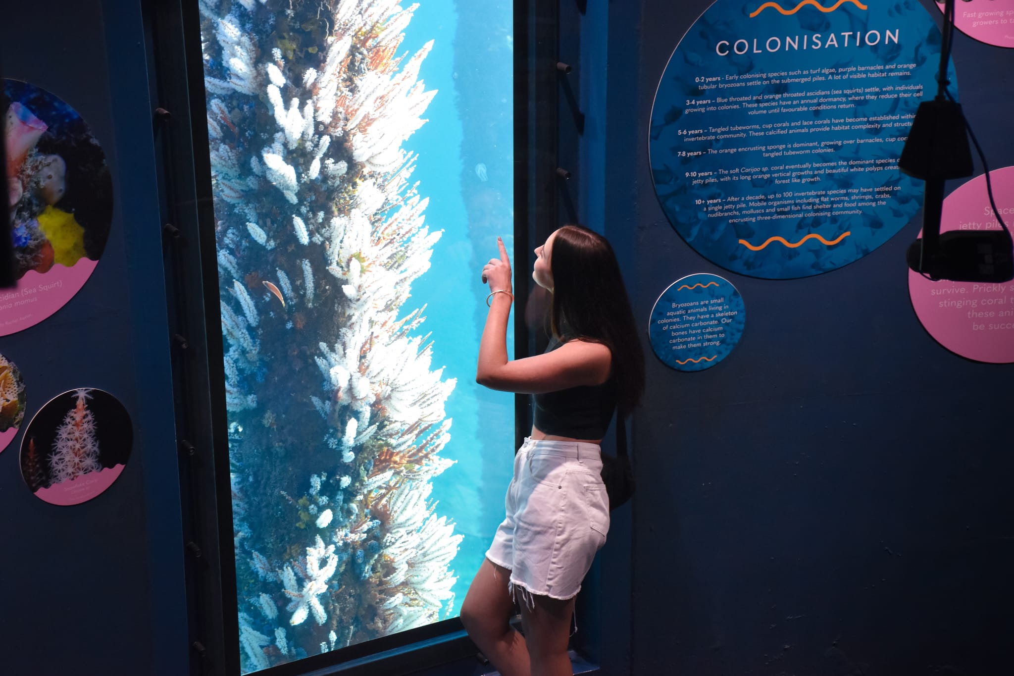 Busselton Jetty, Kirby Spencer, Margaret River Region (144)-web (1)