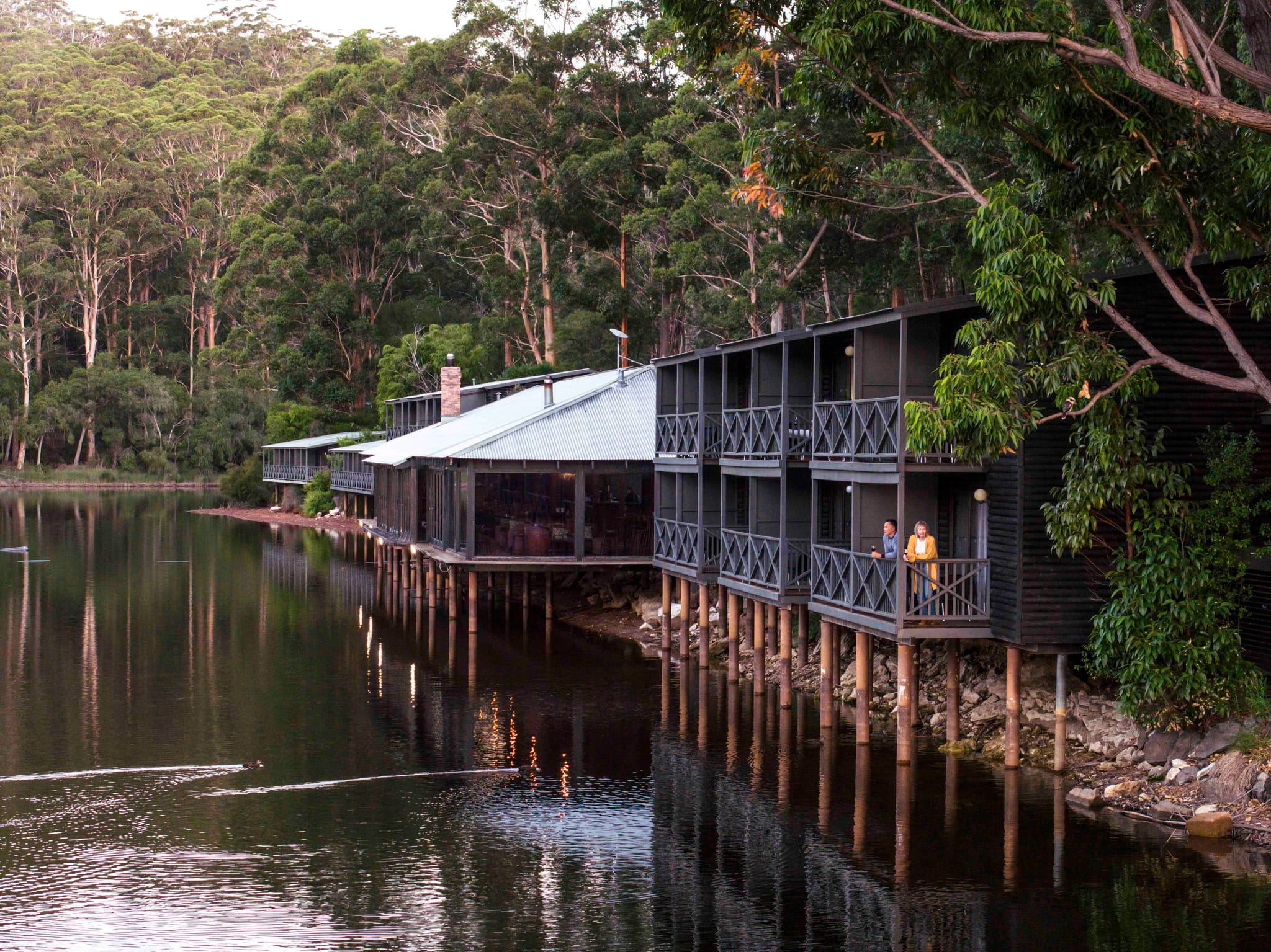 RAC Karri Valley Resort, Winter Campaign 2025, Base Imagery, Southern Forests and Valleys-web