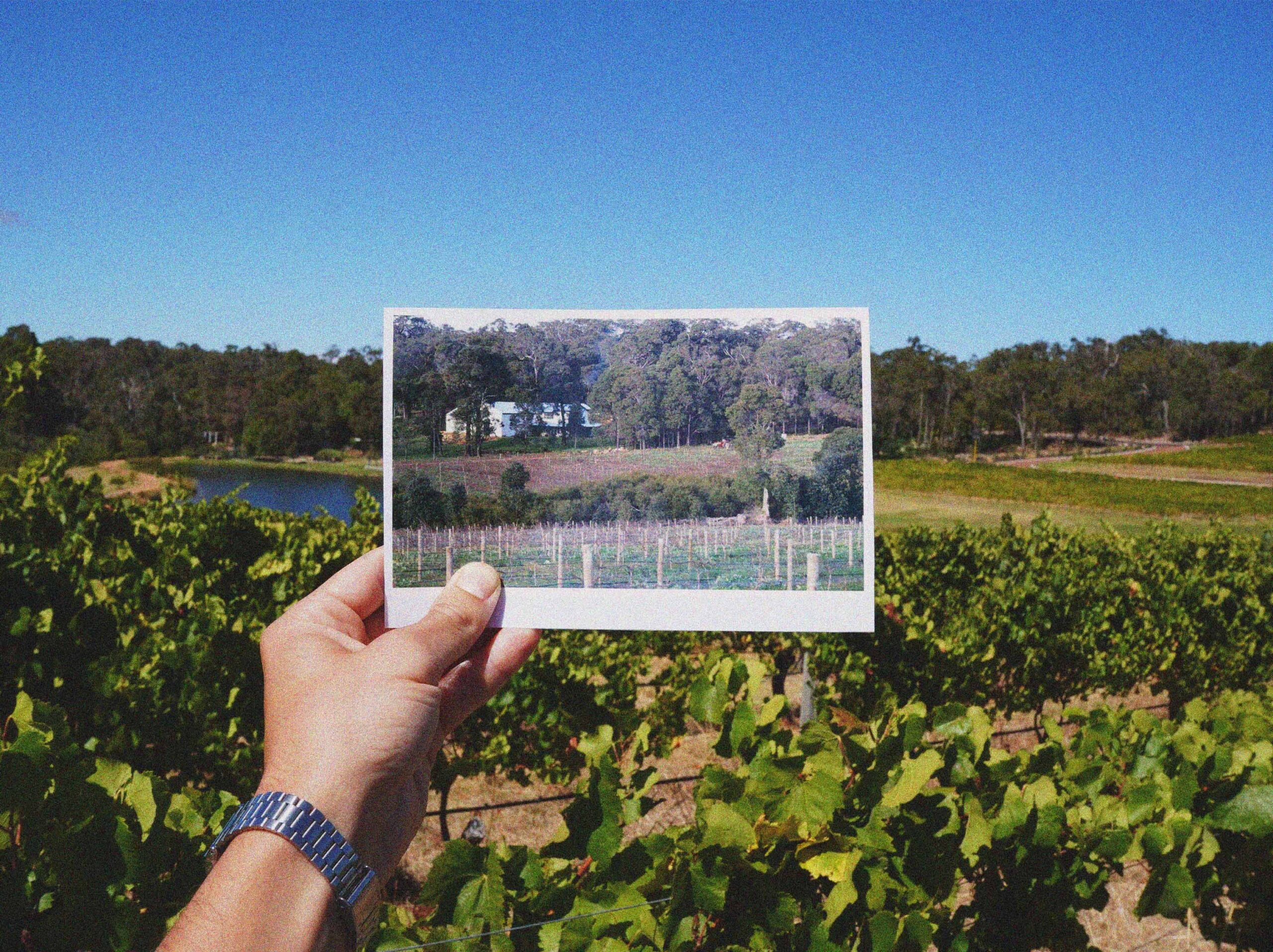 Wedding-garden-march-1