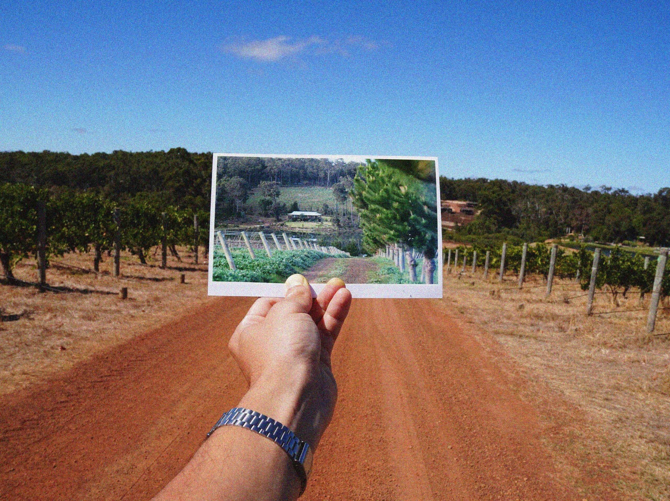 Wedding-garden-march-2