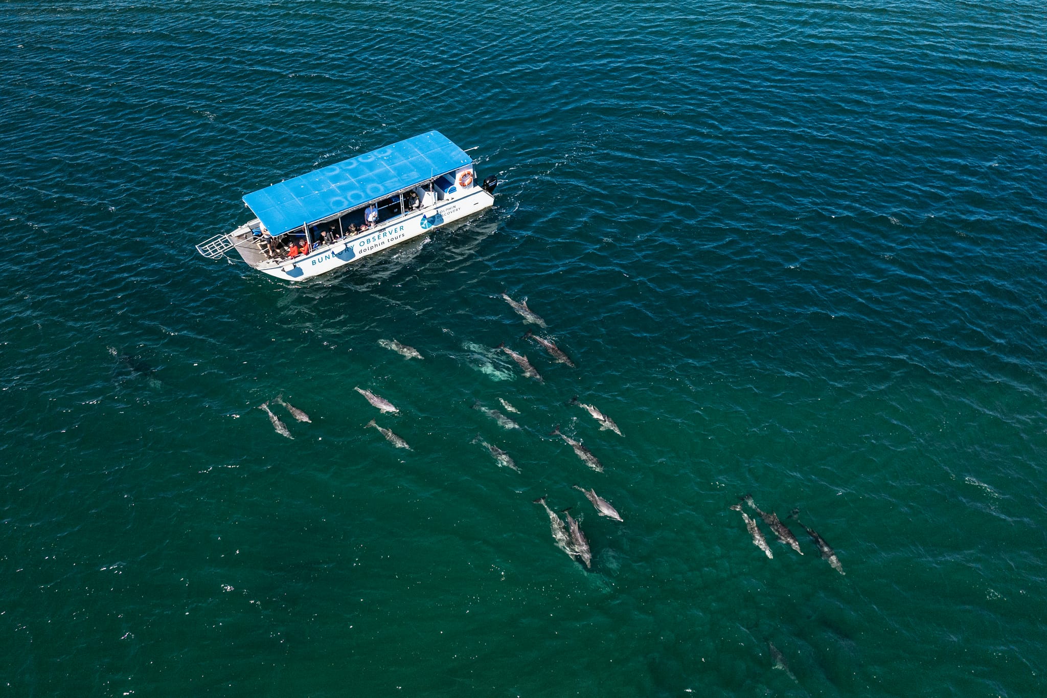 Dolphin Discovery Centre Tours, Bunbury Geographe Region (26)-web