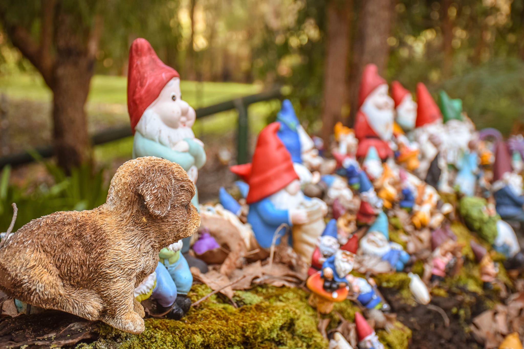 Gnomesville in Ferguson Valley, Kirby Spencer, Bunbury Geographe Region (13)-web