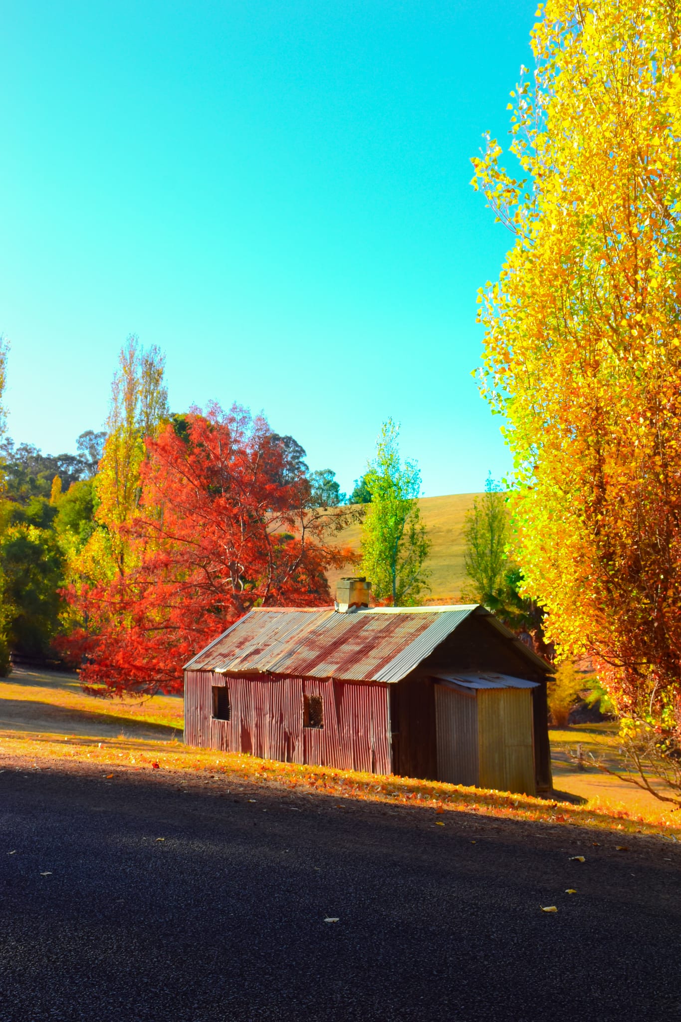 Golden Valley Tree Park, Kirby Spencer, Bunbury Geographe (29)-web