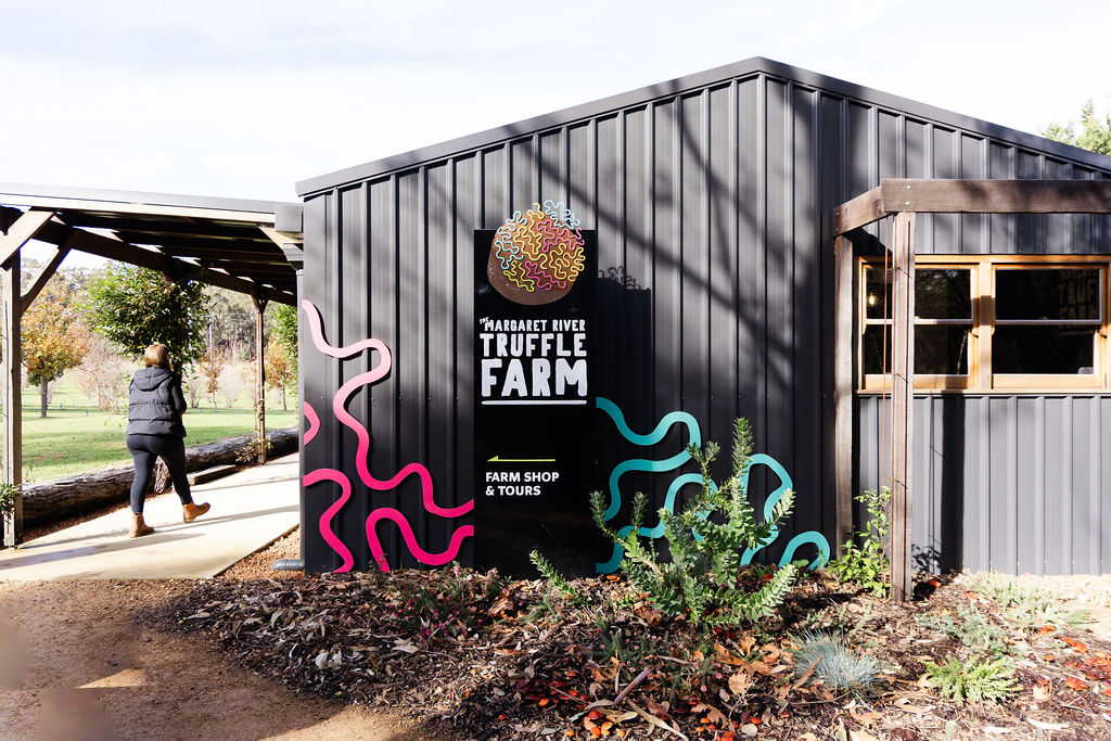 Margaret River Truffle Farm have combined with Rustico at Hayshed Hill to bring the Hunt & Lunch truffle experience to the Margaret River region.